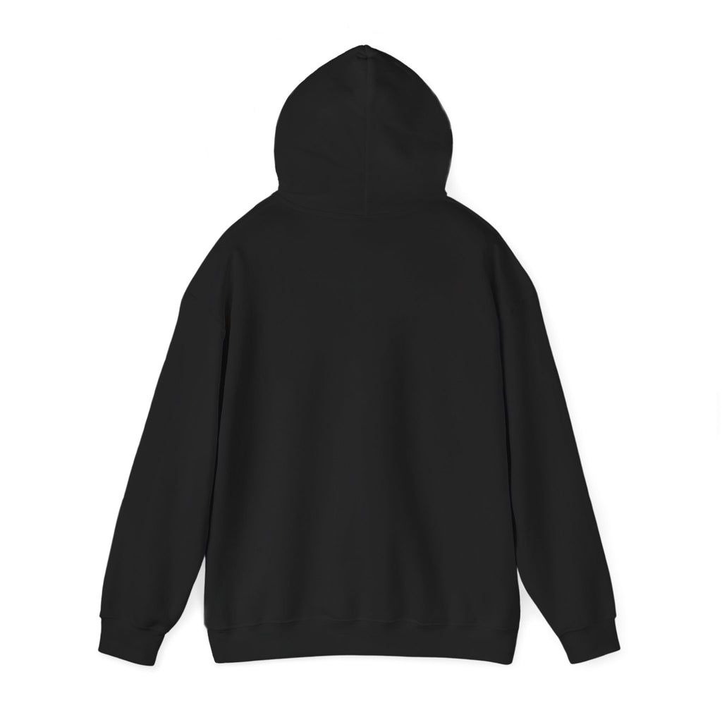 "Ahh... Would Ya Stop!" Irish Slogan Hoodie